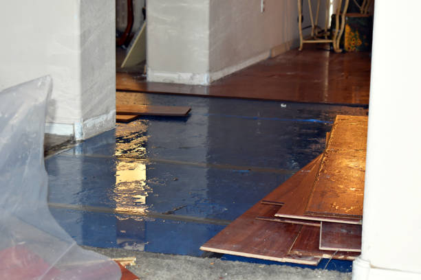 Professional Crawl Space Water Removal technician working in Rockland, MA